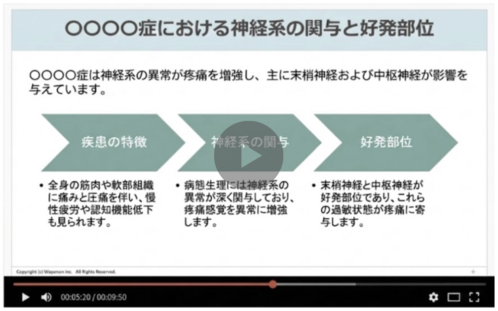 ダイジェスト動画